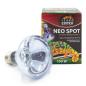 Preview: Terra ExoticaNeo Spot - 100 Watt Terrarien-Reflektorstrahler